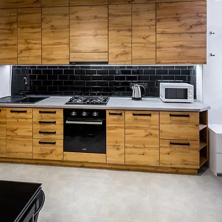 Designer Apartment! The Center! валова 29 公寓